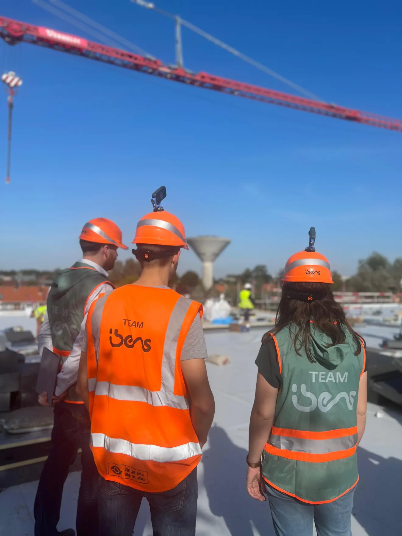 Video webpage image IBENS